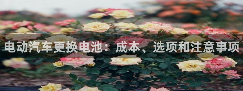 优发国际app官网下载安装苹果手机
