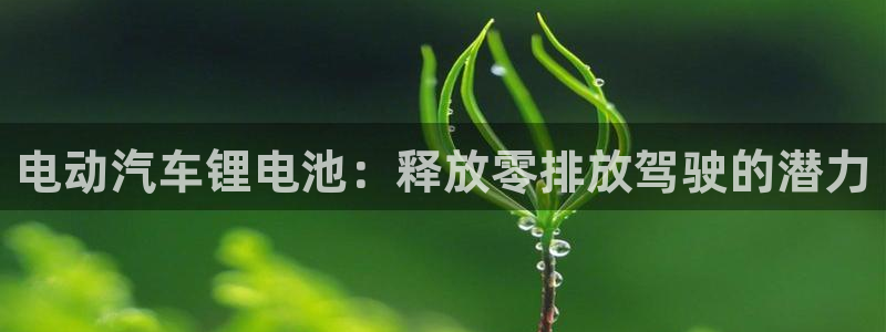 优发国际官网手机版下载