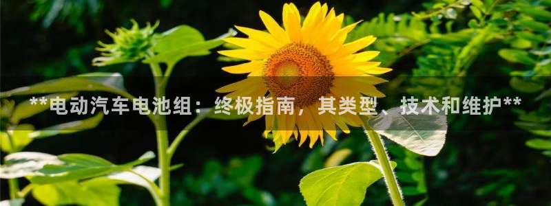 优发国际安卓版下载安装