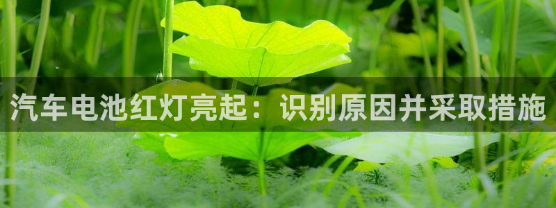 优发国际官网手机版下载