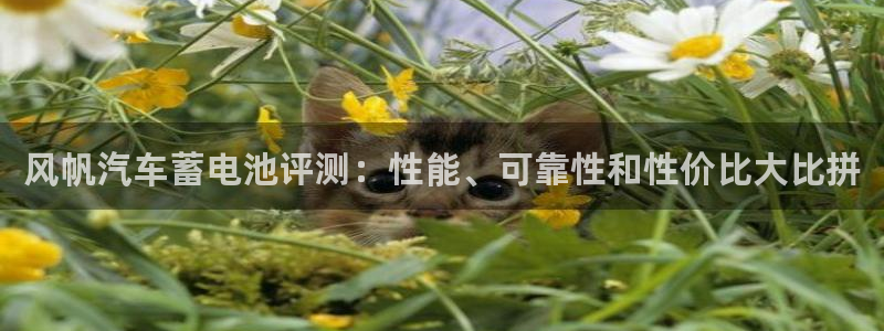 优发国际手机客户端官网首页