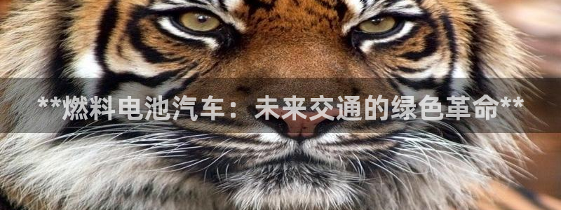 优发国际官方网手机版下载