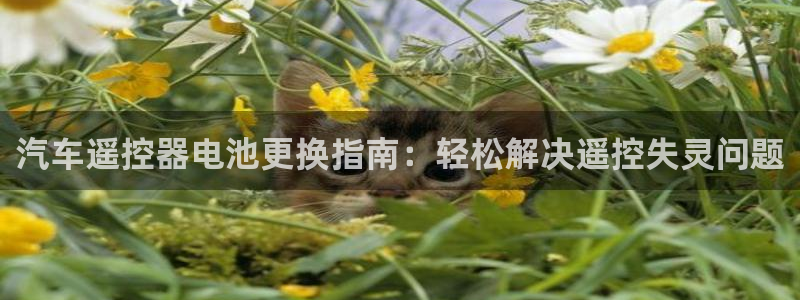 优发国际手机客户端下载安卓：汽车遥控器电池更换指南：轻松解决遥控失灵问题