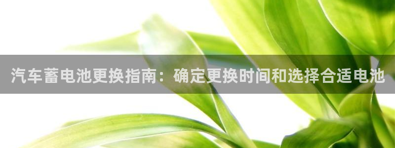 优发国际官网下载苹果版：汽车蓄电池更换指南：确定更换时间和选择合适电池