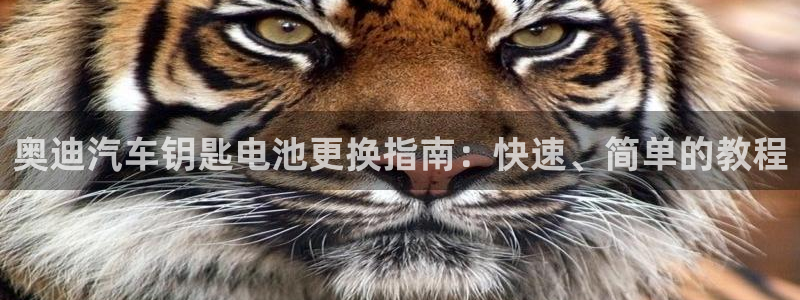 优发国际安卓版下载安装最新版：奥迪汽车钥匙电池更换指南：快速、简单的教程