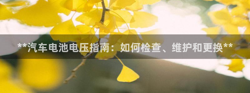 优发国际官方网手机版app