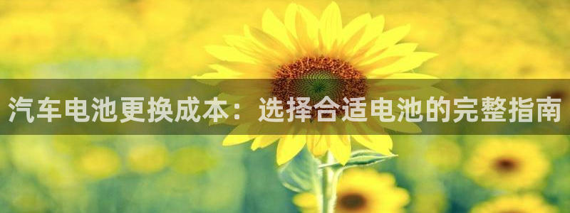优发国际网站178