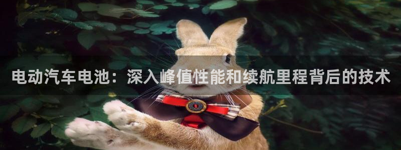 优发国际网官网：电动汽车电池：深入峰值性能和续航里程背后的技术