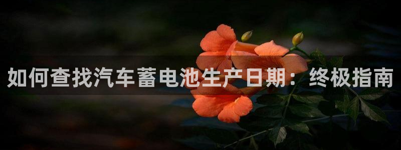 优发国际官网网站首页：如何查找汽车蓄电池生产日期：终极指南