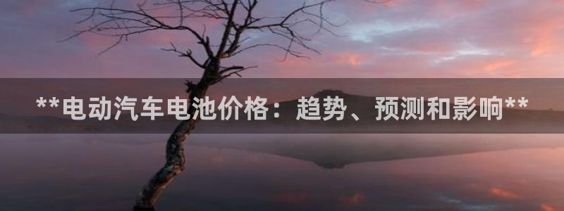 优发国际首页官网：**电动汽车电池价格：趋势、预测和影响**