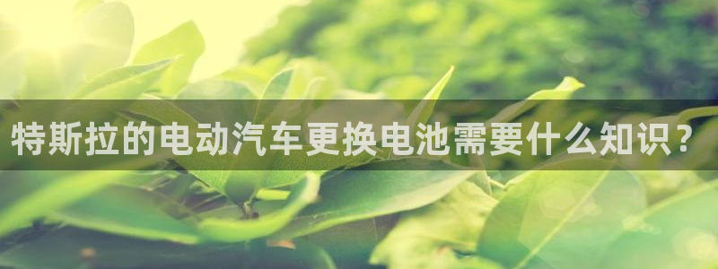 优发国际平台APP：特斯拉的电动汽车更换电池需要什么知识？
