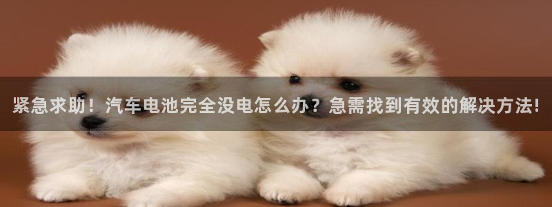 优发国际多少钱：紧急求助！汽车电池完全没电怎么办？急需找到有效的解决方法!