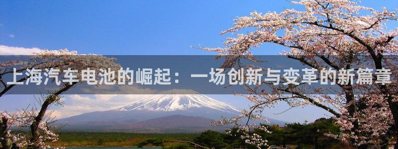 优发国际手机版客户端下载安装
