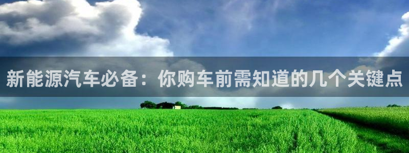 优发国际随优而动一触即发：新能源汽车必备：你购车前需知道的几个关键点