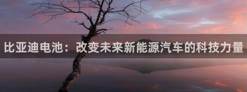 优发国际游戏17岁能玩吗