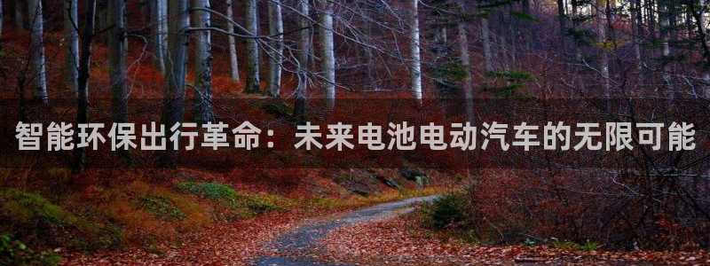 优发国际合并到哪里了啊：智能环保出行革命：未来电池电动汽车的无限可能