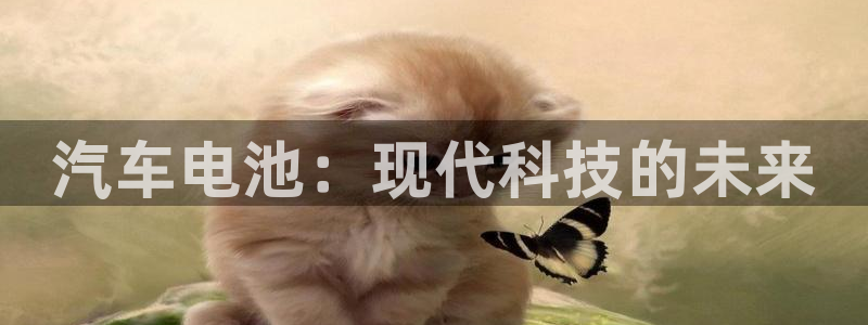 优发国际登录a：汽车电池：现代科技的未来