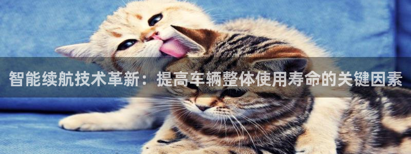 优发国际娱乐官网多少?