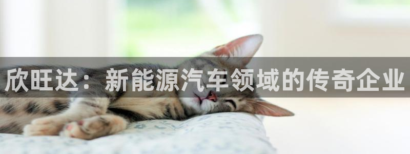 优发国际手机版官网：欣旺达：新能源汽车领域的传奇企业