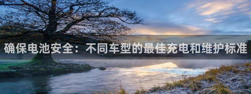 优发国际游戏官方网站：确保电池安全：不同车型的最佳充电和维护标准