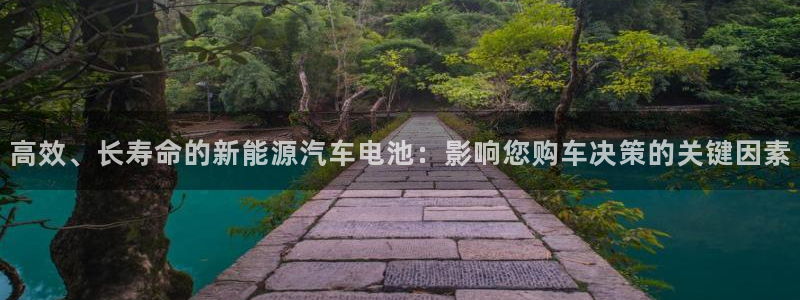 优发国际多少：高效、长寿命的新能源汽车电池：影响您购车决策的关键因素