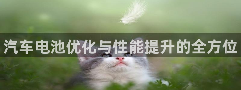 优发国际是合法的吗安全吗：汽车电池优化与性能提升的全方位