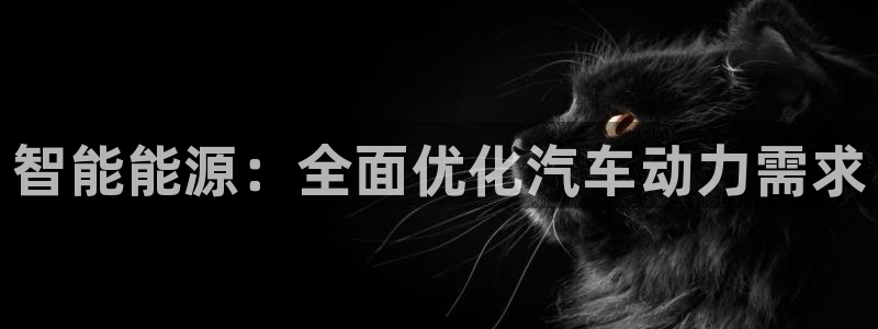 优发国际首页官网：智能能源：全面优化汽车动力需求
