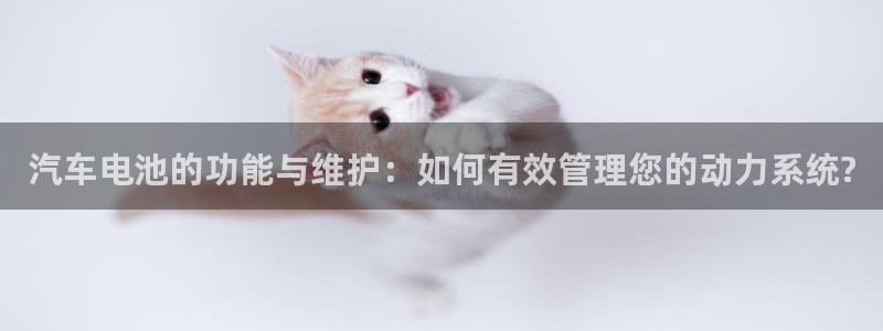 优发国际登录a：汽车电池的功能与维护：如何有效管理您的动力系统?