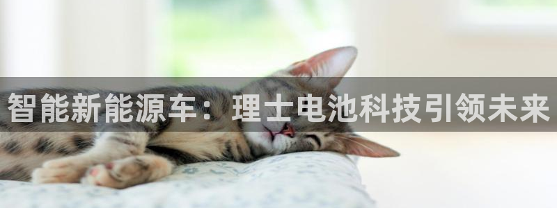 优发国际手机版下载官网
