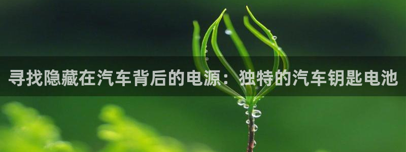 优发国际免费游戏下载：寻找隐藏在汽车背后的电源：独特的汽车钥匙电池