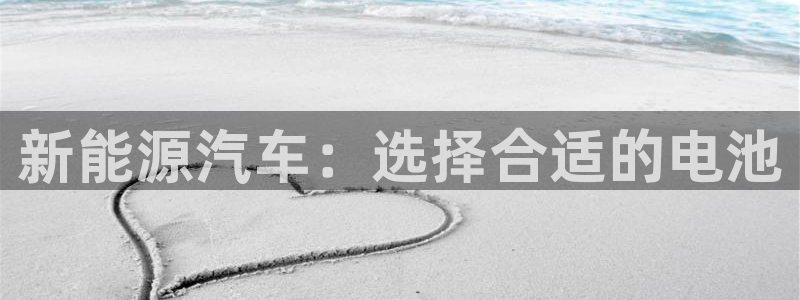 优发国际网官网17o8：新能源汽车：选择合适的电池