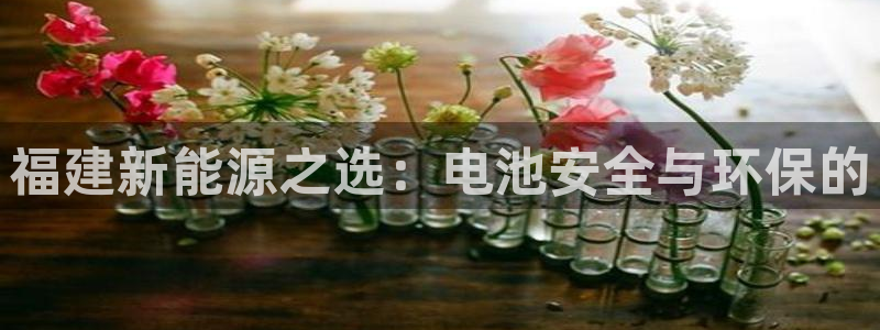 优发国际手机版官网：福建新能源之选：电池安全与环保的
