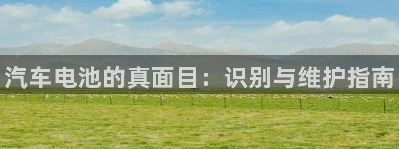 优发国际手机版网站