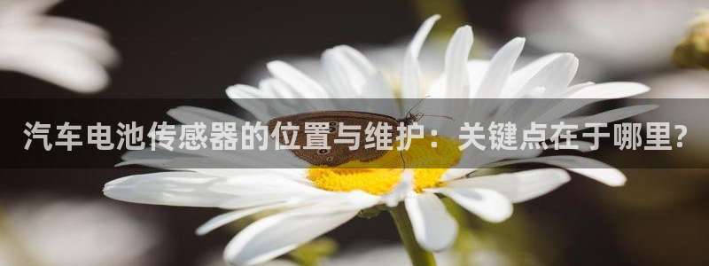 优发国际手机客户端怎么下载
