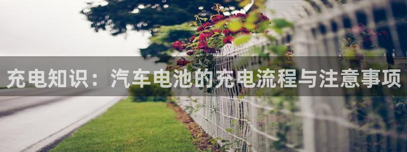 优发国际官方网手机版下载安卓