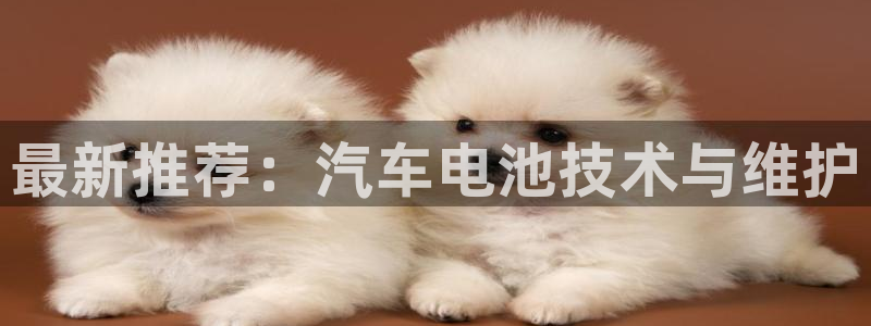 优发国际是大平台吗是真的吗