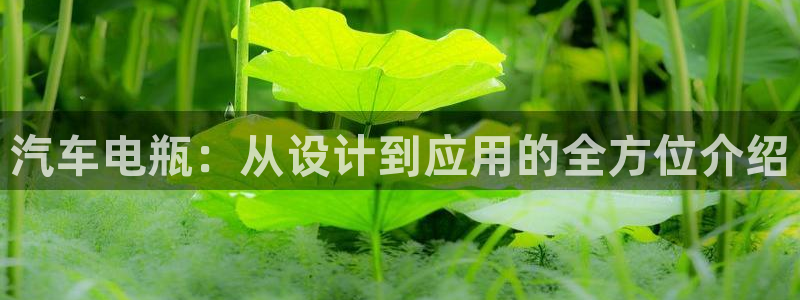 优发国际手机版官网入口