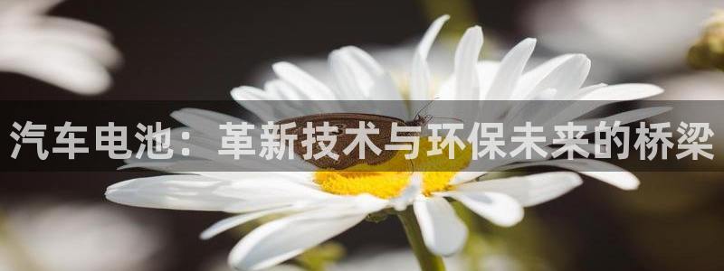 优发国际是真的吗：汽车电池：革新技术与环保未来的桥梁