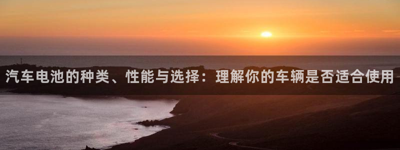 优发国际官网是多少：汽车电池的种类、性能与选择：理解你的车辆是否适合使用