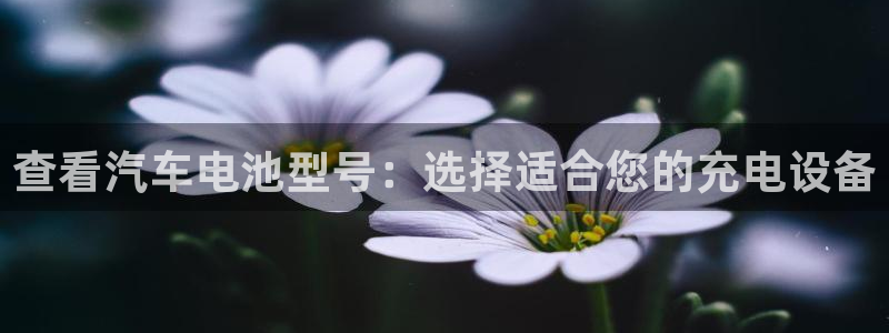 优发国际这个平台怎么样：查看汽车电池型号：选择适合您的充电设备