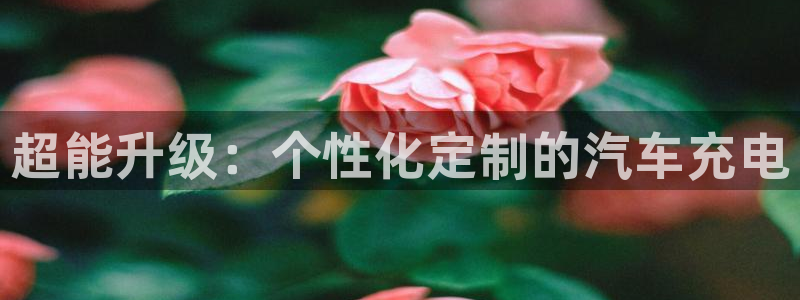 优发国际官方网手机版下载安卓：超能升级：个性化定制的汽车充电