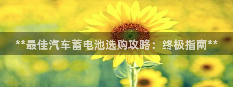 优发国际手机客户端下载安装不了：**最佳汽车蓄电池选购攻略：终极指南**