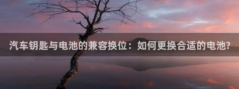 优发国际官网值是多少：汽车钥匙与电池的兼容换位：如何更换合适的电池?