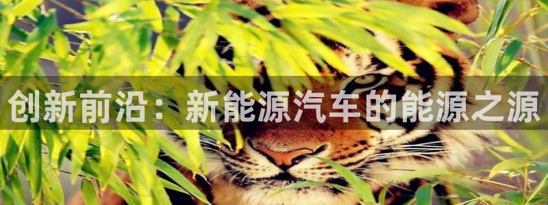 优发国际手机安装登录失败