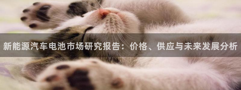 优发国际手机客户端怎么下载