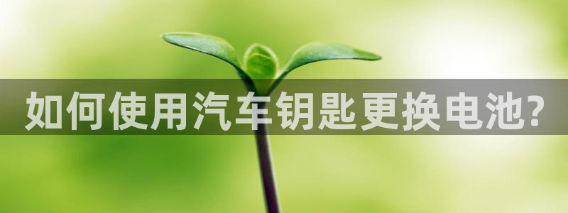 优发国际游戏官方网站入口