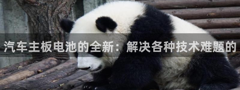 优发国际官网qy88：汽车主板电池的全新：解决各种技术难题的