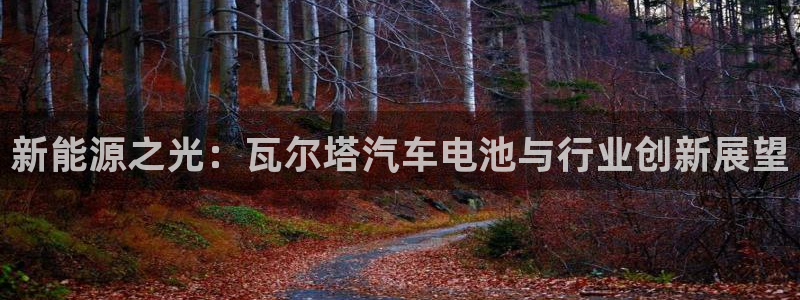 优发国际平台18