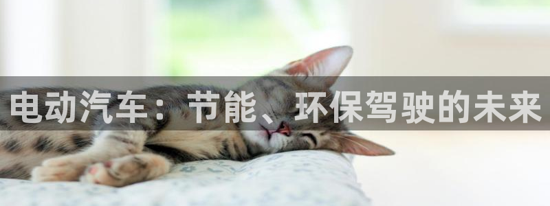 优发国际的官网是什么：电动汽车：节能、环保驾驶的未来