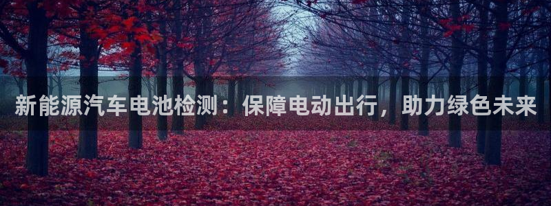 优发国际登录a：新能源汽车电池检测：保障电动出行，助力绿色未来